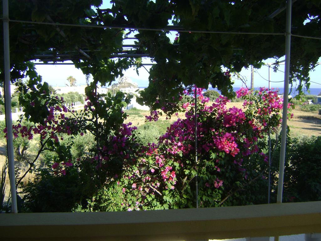 Panormitis Studios Kéfalos Chambre photo