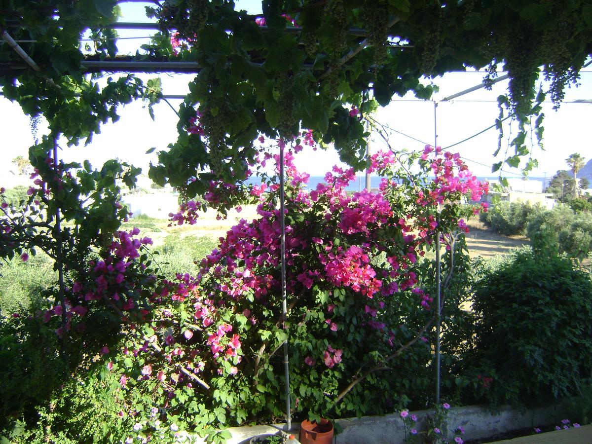 Panormitis Studios Kéfalos Extérieur photo